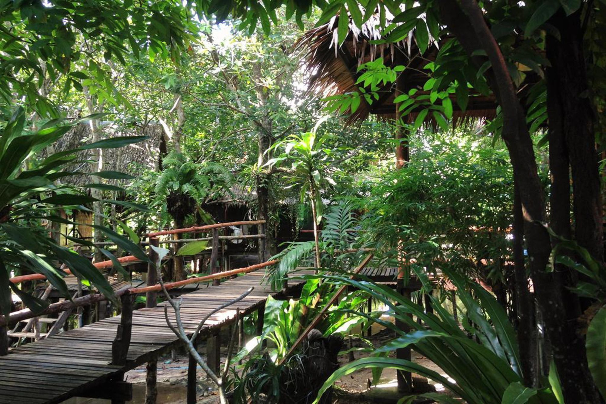 Mayom Garden (Adults Only) 帕干岛 外观 照片